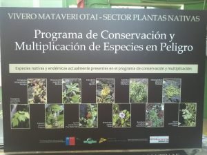 trovicel 5 mm vivero impreso laminado