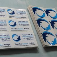 Autoadhesivos, calcomanías y etiquetas